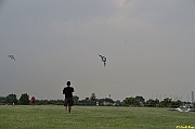 Parco San Giuliano  - 458
